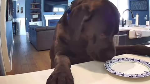 Half for me and the other half for me too