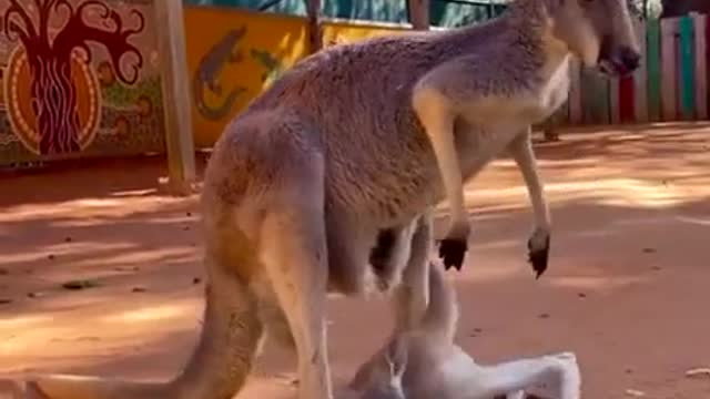 🦘The very moment when it was time to move out from my parents