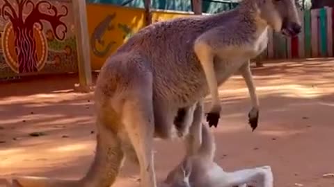 🦘The very moment when it was time to move out from my parents