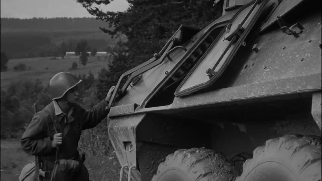 Každý mladý muž(1965)