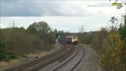 Animals that hit by train - Animals vs Train.