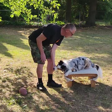 Structured Play Games Training and Practice 2b