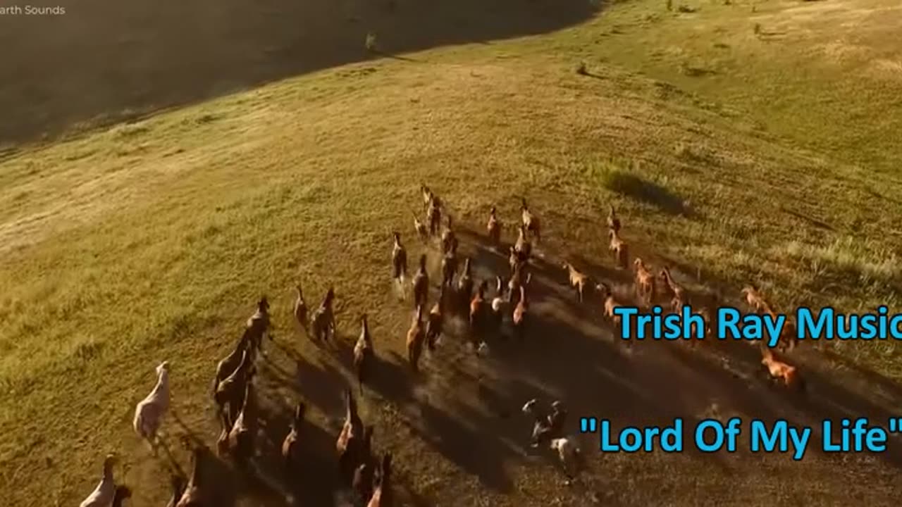 Lord Of My Life Song Trish Ray Music