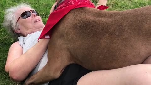 Huge dog pins Mom on the Ground