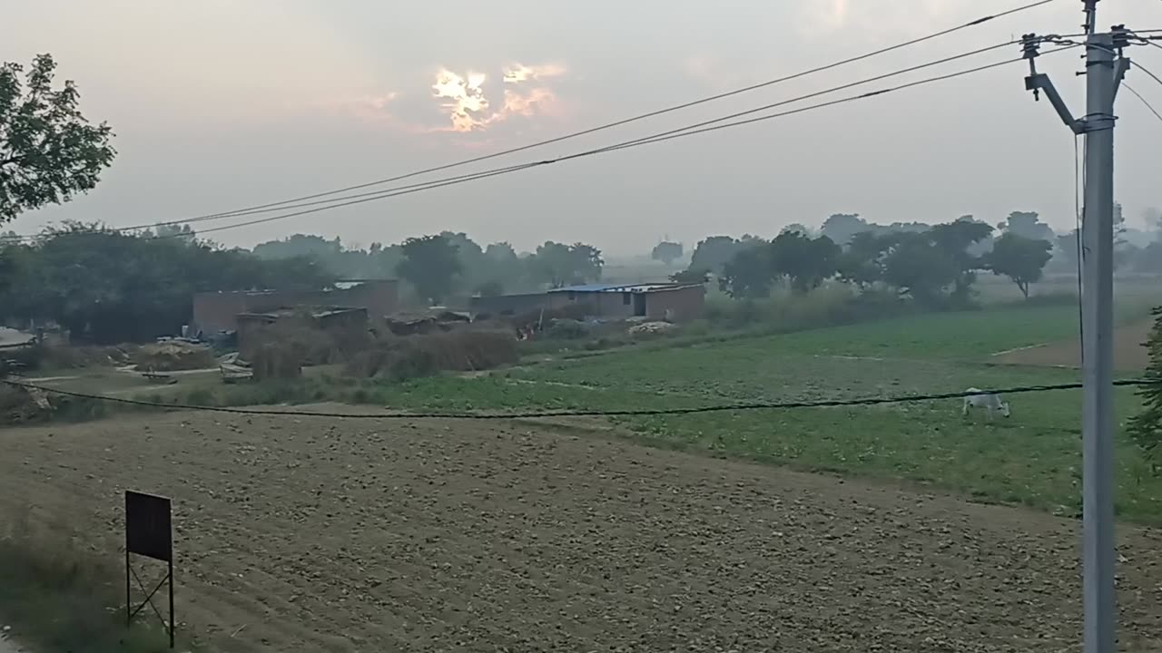 An Evening in Countryside / Nature's Beauty/ Uttar Pradesh, India / Epic Cinematic Beautiful Nature / Epic Cinematic