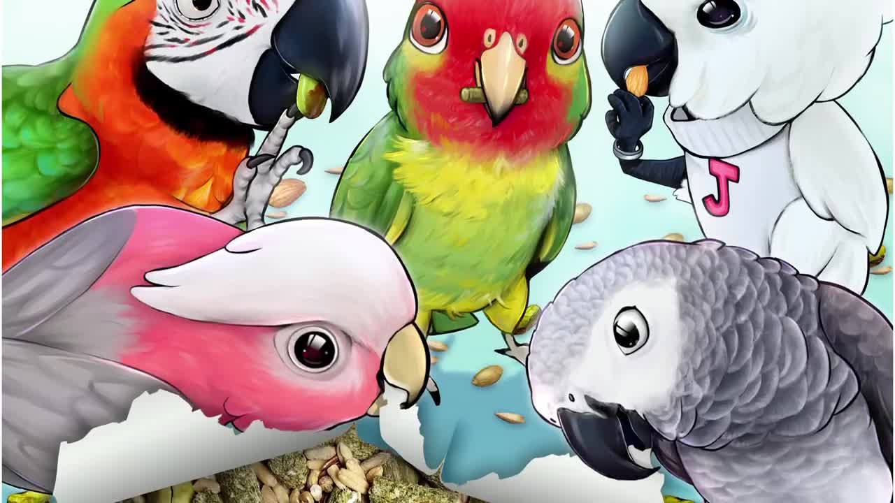 OMG SO CUTE_ Funny Parrot Compilation _ MARLENE MC_COHEN