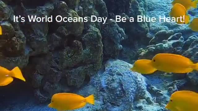 beablueheart#oceanlover#underwater