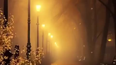 Beauty of Nature