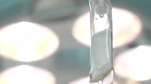 The miscarriage rate was 80 percent in the Pfizer trials.