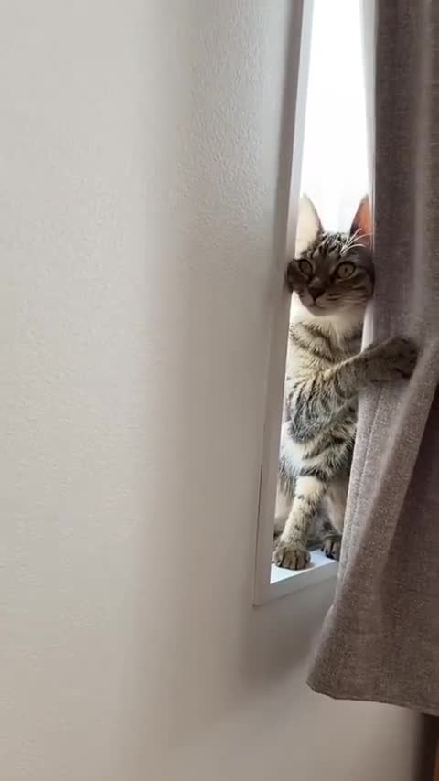 Are you looking at me right? 😍😍