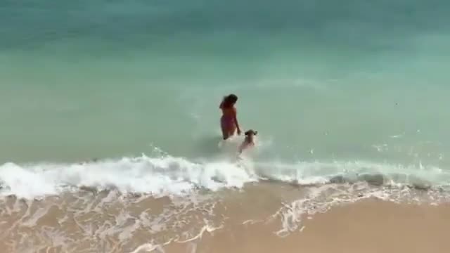 beach days with your pup are the best aren’t they?