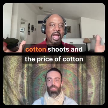 Bamboo VS Cotton Challenging History in the USA