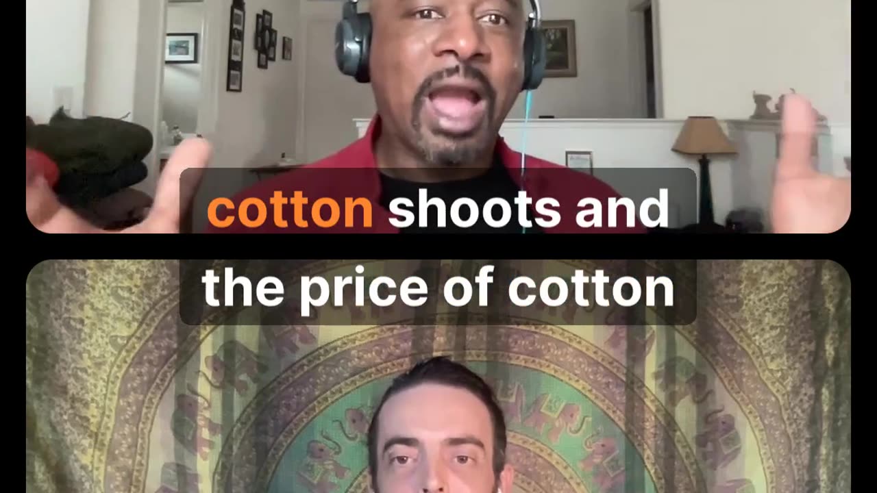 Bamboo VS Cotton Challenging History in the USA