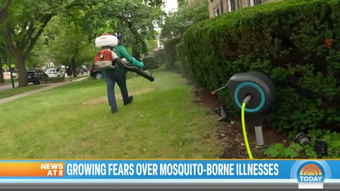 Fears grow over mosquito-borne illnesses after teen left paralyzed