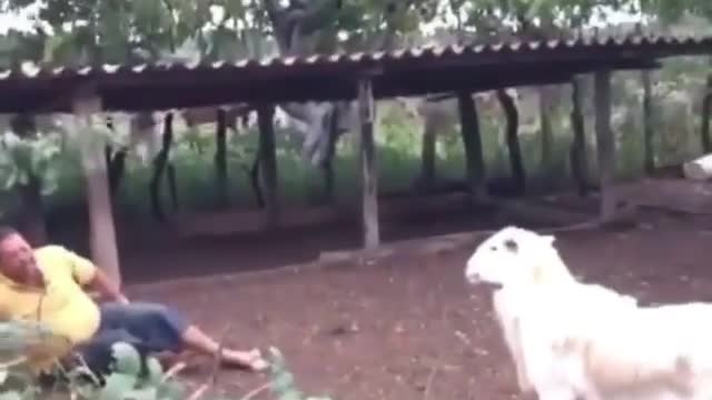 Made in roça kkkk