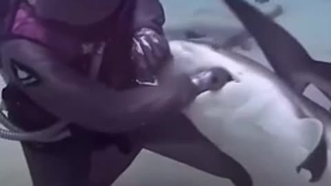 Incredible story caught on video of a shark and woman communicating with each other