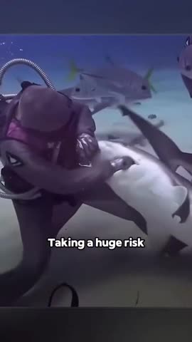 Incredible story caught on video of a shark and woman communicating with each other