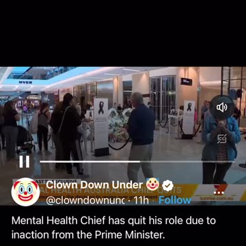 Mental Health Chief has quit his role due to inaction from the Prime Minister.