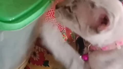 Give me some