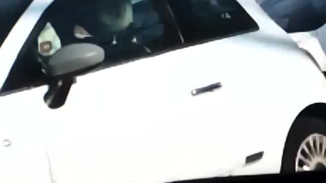 bird flying on car