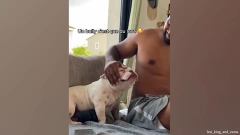 Mira como jugar a perro