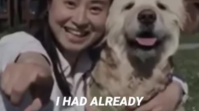 Heartbreaking moment owner says goodbye to her beloved dog