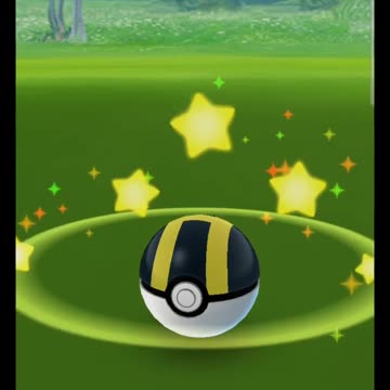 Pokémon GO-Shiny Combee