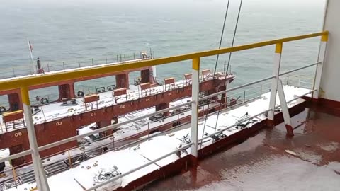 MSC ADITI at Snow Storm
