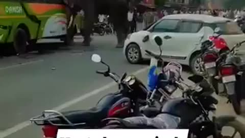 Dont bug Dumbo