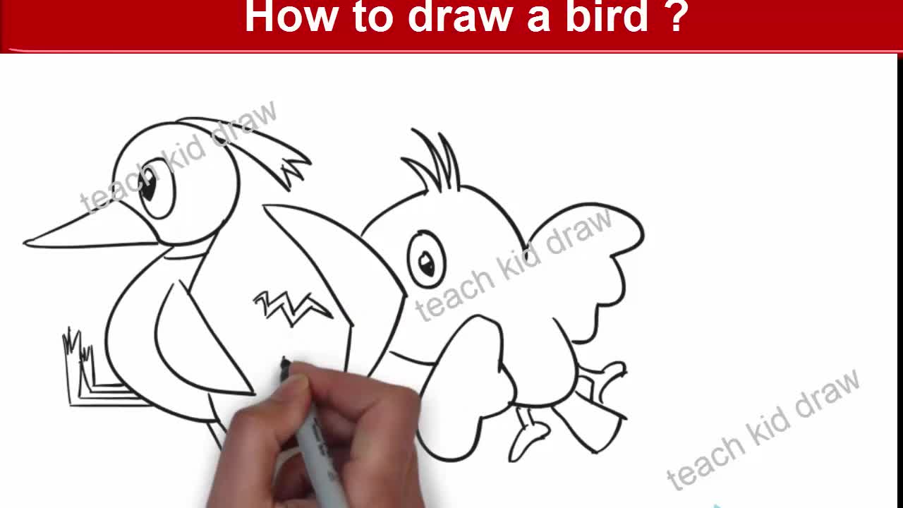 How to Draw a Bird