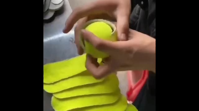 Cricket ball funny