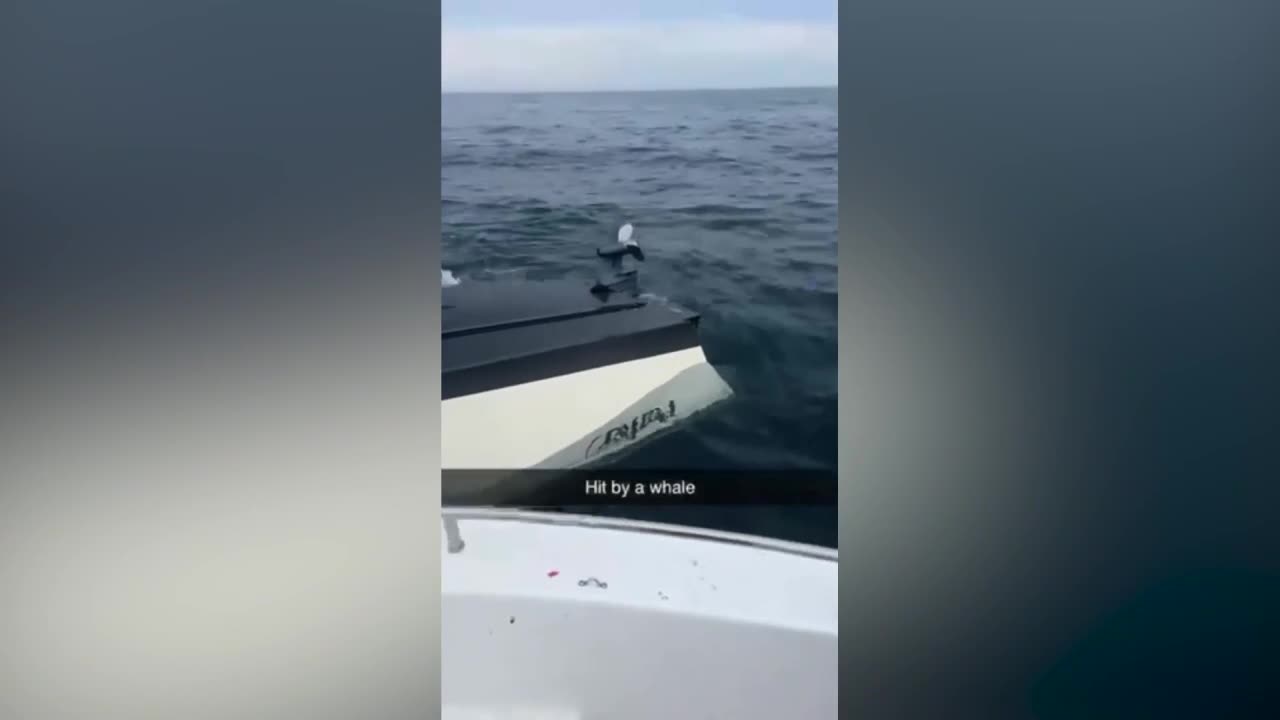 Boat Capsize by a Breaching Whale