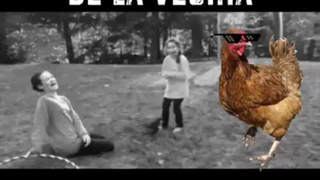 Sporty Chicken