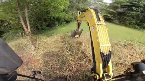 Yanmar Excavator Forestry Mulching And Removing a Forsythia bush