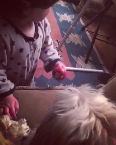 Baby and dog kissing