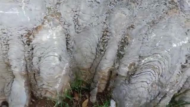The little ditch on this rock is very strange.