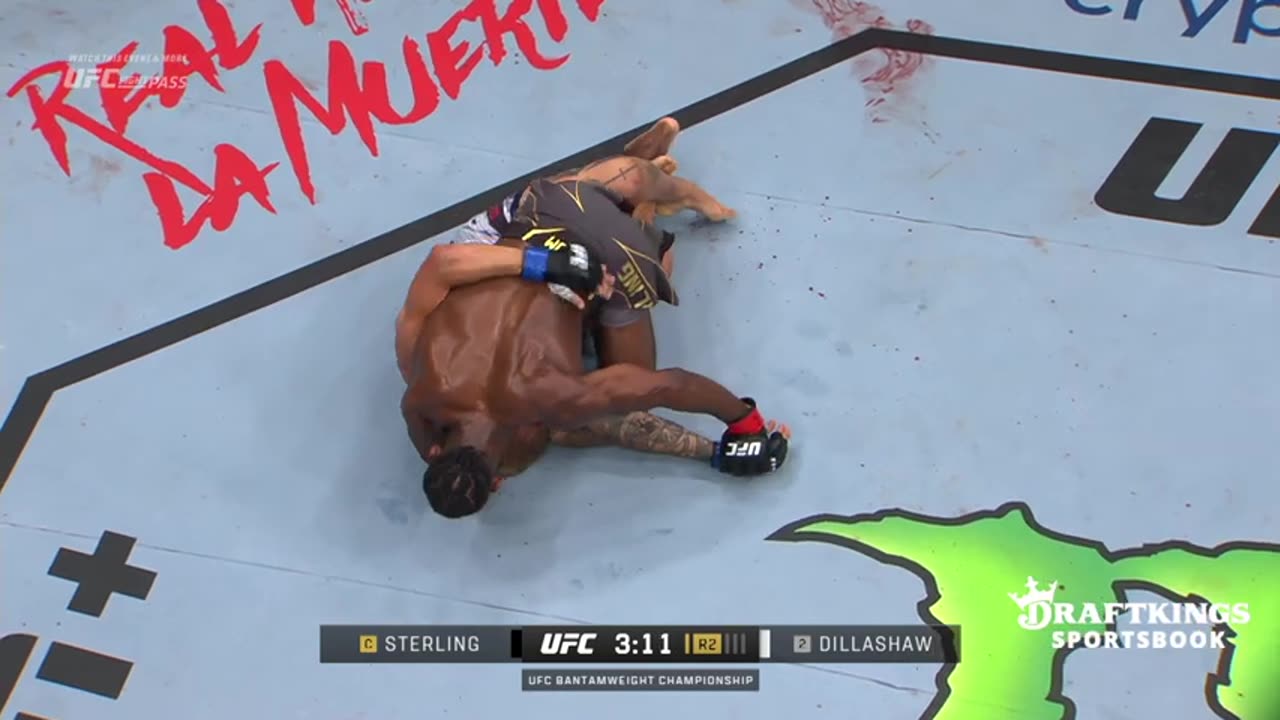 Aljamain Sterling vs TJ Dillashaw | FREE FIGHT | UFC 292