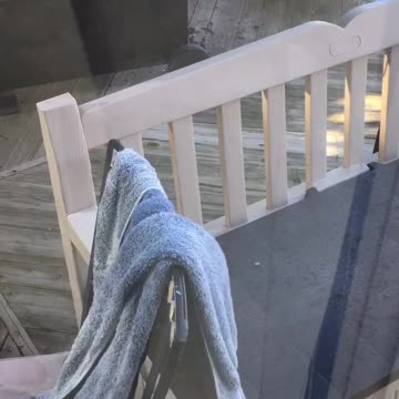 Peekaboo with a squirrel