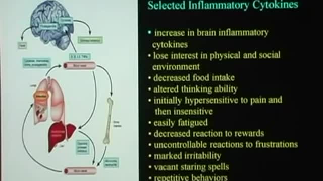 Dr. Russel Blaylock MD - How Vaccines Harm Child Brain Development