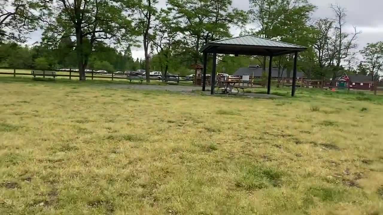 German Shepherd Attacks Pitbull [OFF LEASH DOG PARK] Part 1\