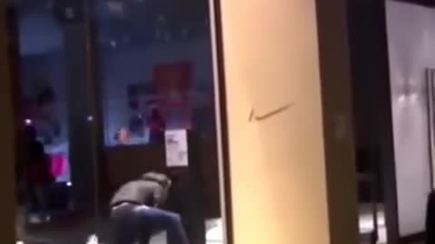funny memes and videos