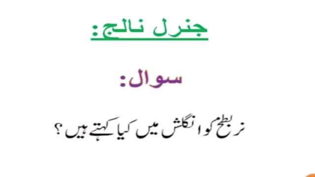 General knowledge in urdu #urduquotes