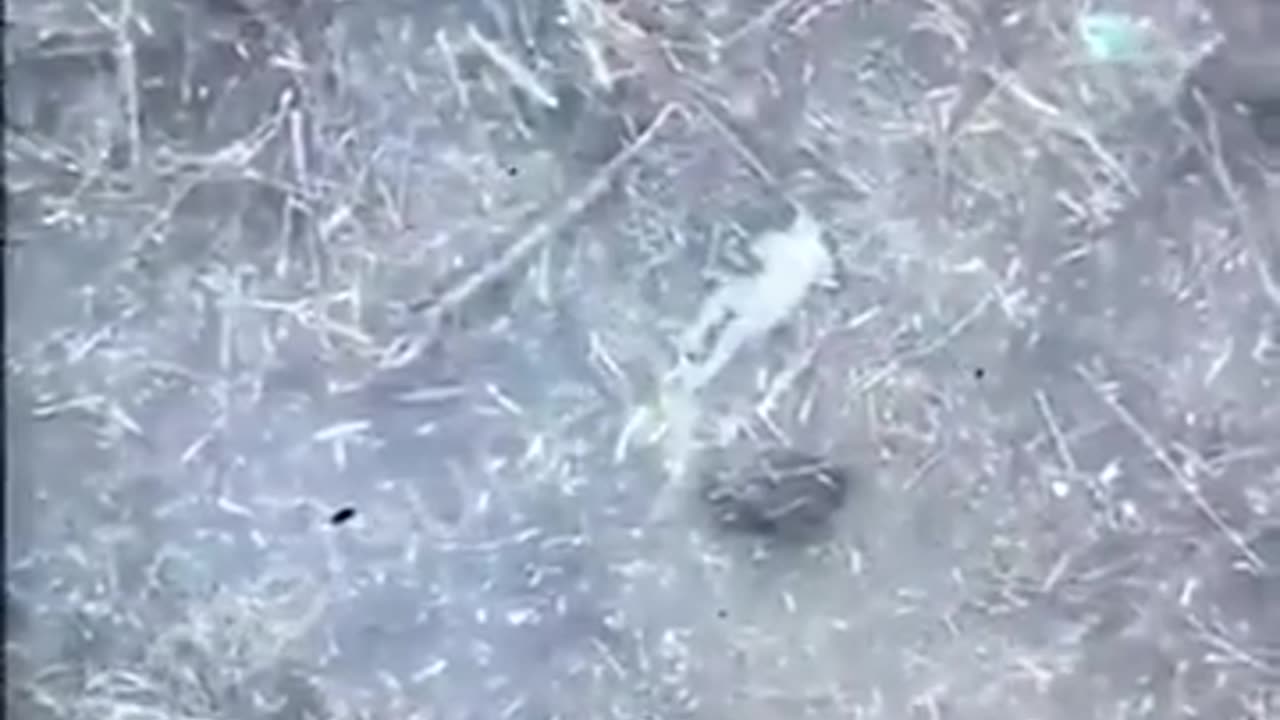 Ukrainian drone briefly sets Russian soldier on fire and he examines his wound