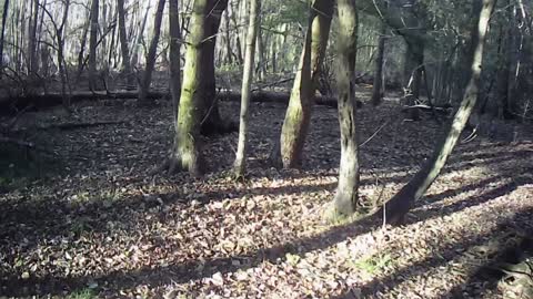 Building clearance Airsoft game play.