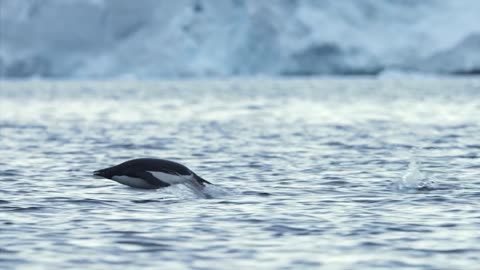 Underwater landscapes of Antarctica