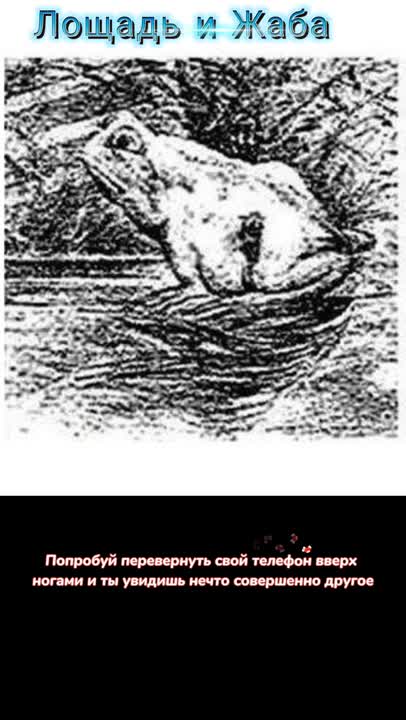 Try to turn your phone upside down.Horse and toad