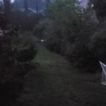 Is it raining outside?