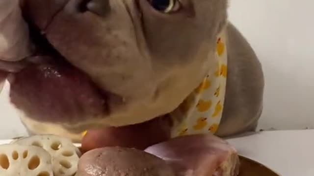 He's hungry, he wants a lot of good, delicious food, he's fierce