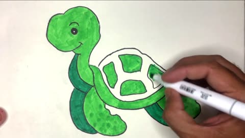 beautiful tortoise Sketch Handmade