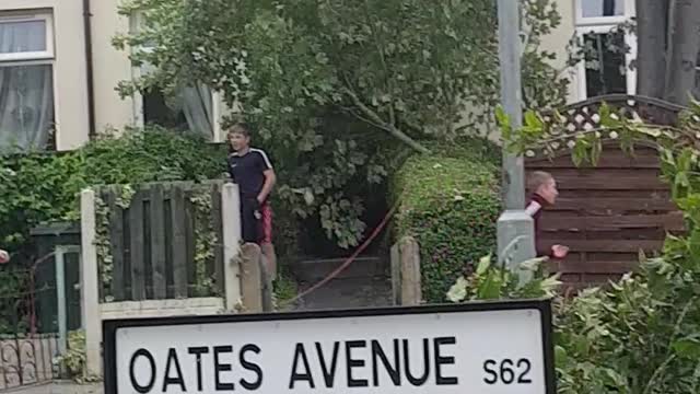 Teen Saws Tree the Wrong Way, Pays the Price